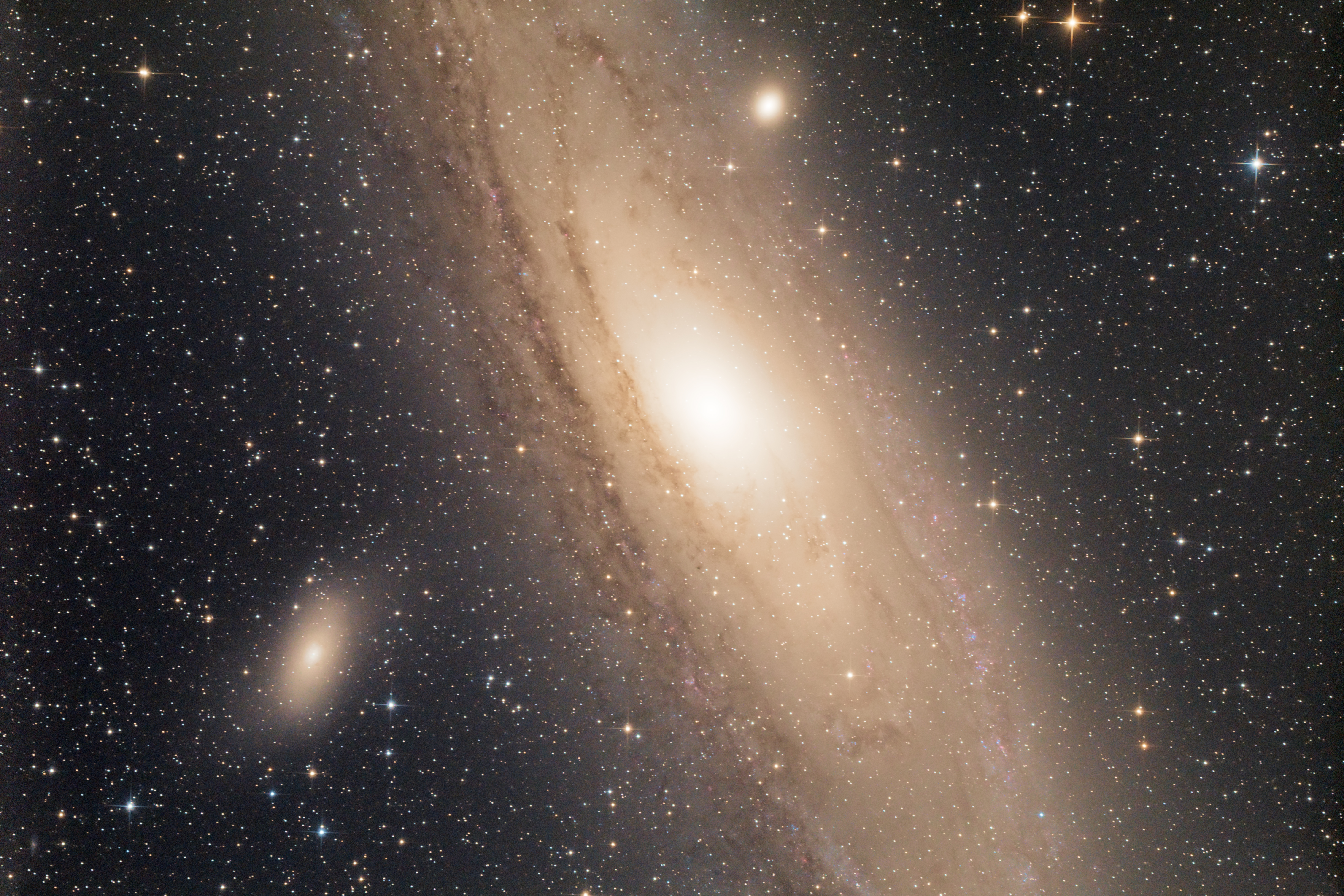 Andromeda 2025
