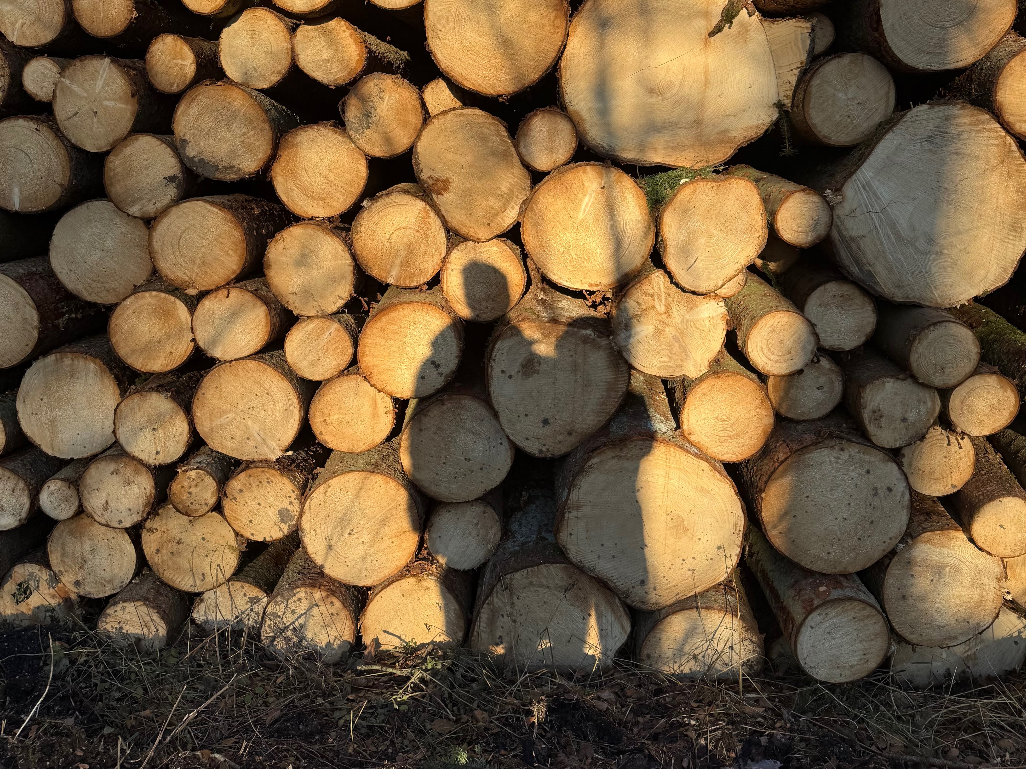 Wald