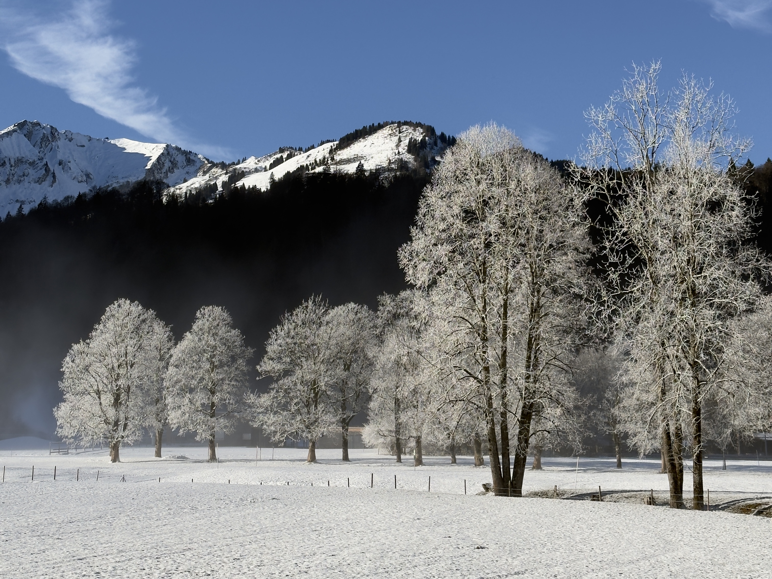 Winterlandschaft